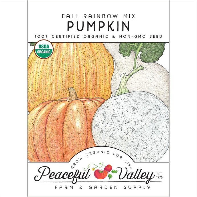 Organic Pumpkin, Fall Rainbow Mix