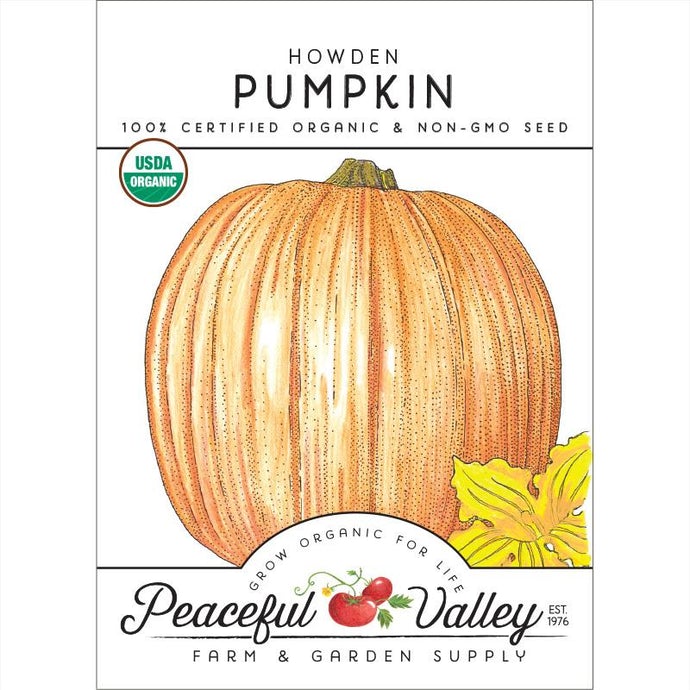  Organic  Pumpkin  Howden-pack 