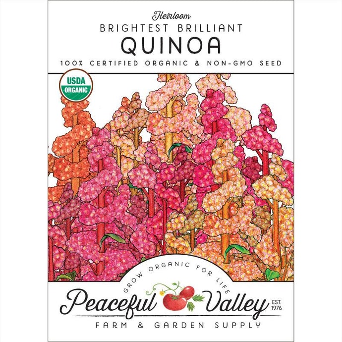 Organic Quinoa, Brightest Brilliant