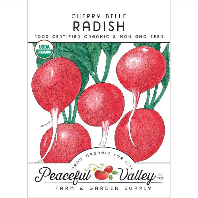  Organic  Radish  Cherry  Belle-pack 