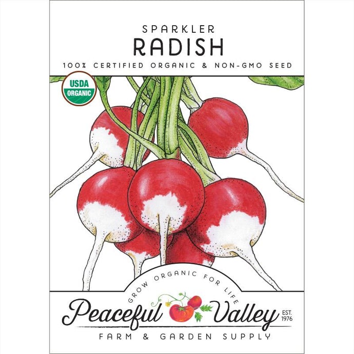 Organic Radish, Sparkler