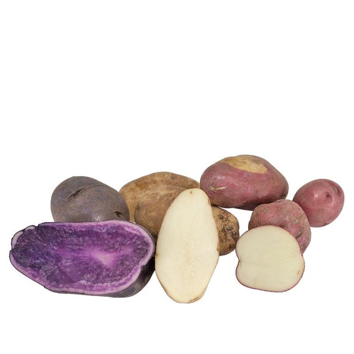 Organic Rainbow Mix Seed Potatoes (lb)