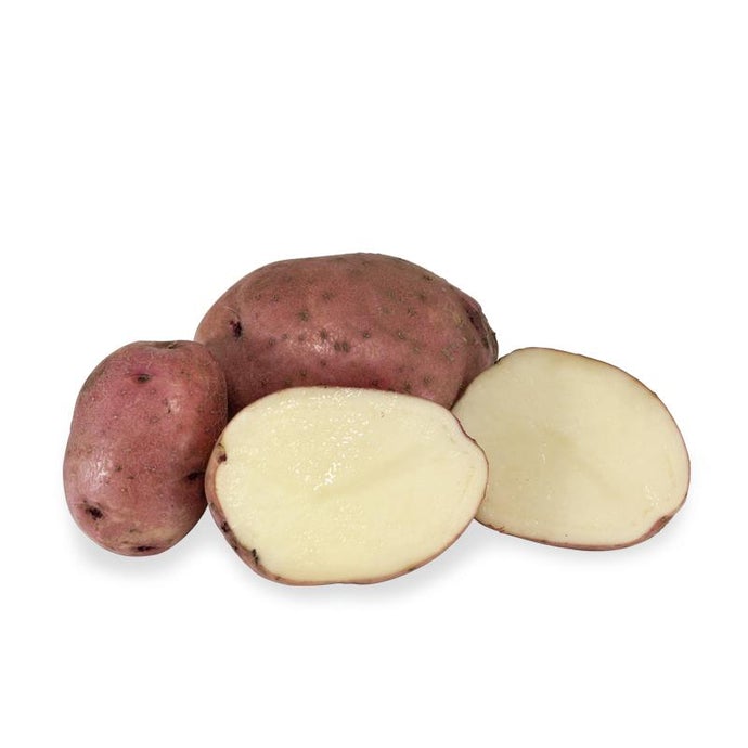 Organic Red Pontiac Seed Potatoes (lb)