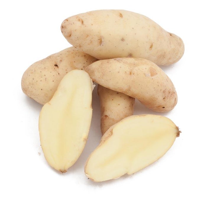 Organic Russian Banana Fingerling Seed Potatoes (lb)