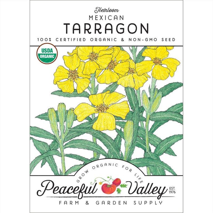 Organic Tarragon, Mexican