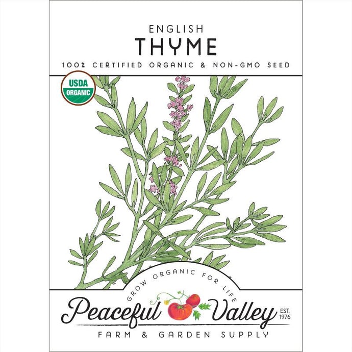  Organic  Thyme  English-pack 