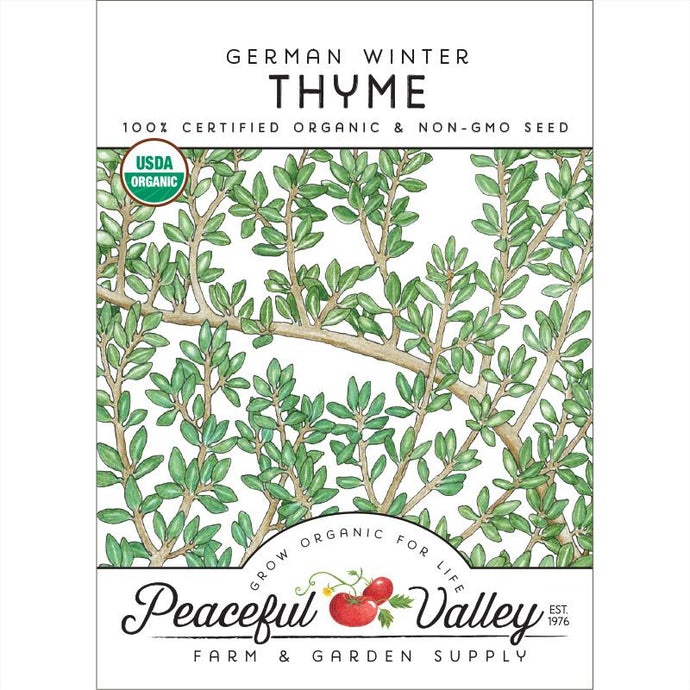  Organic  Thyme  German  Winter   