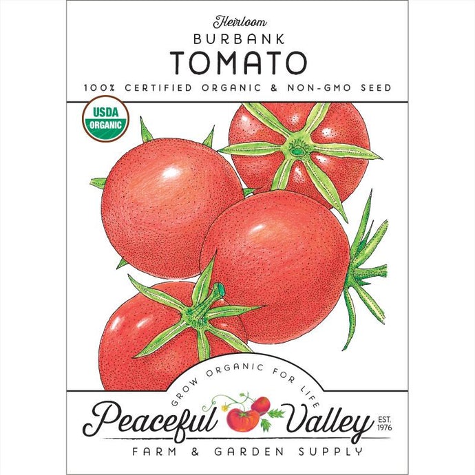 Organic Tomato, Burbank