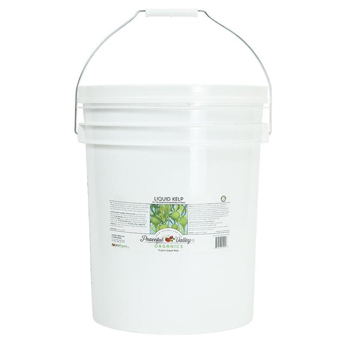 Peaceful Valley Organic Liquid Kelp (5 Gallon)