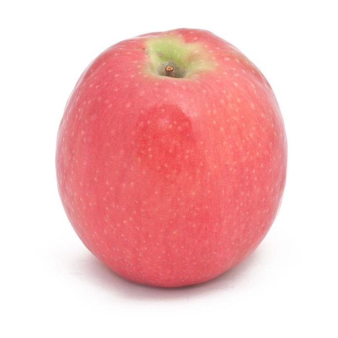 Pink Lady Apple Tree (Semi-dwarf)