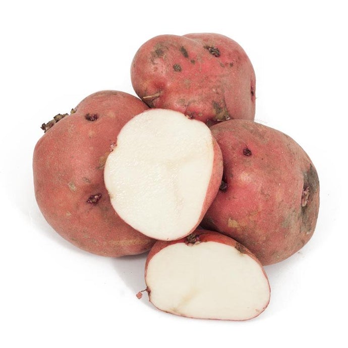 Red Pontiac Organic Potato (lb)