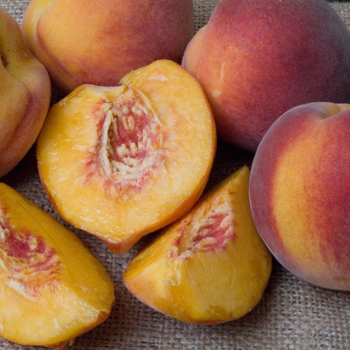 Redhaven Peach Tree (Semi-dwarf)