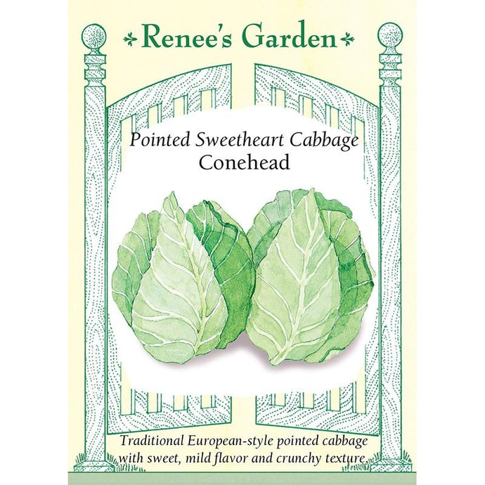 Renee's Garden Cabbage Conehead Pointed Sweetheart