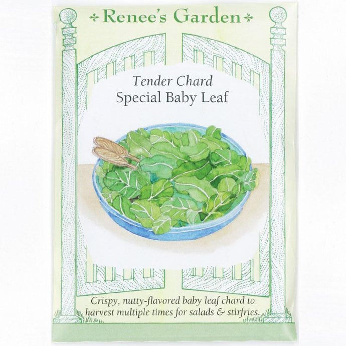 Renee's Garden Chard Tender Baby Leaf