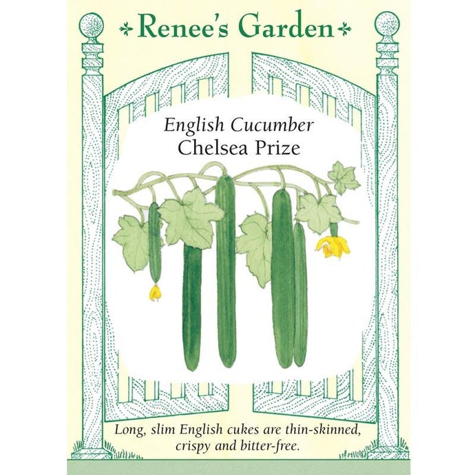 Renee's Garden Cucumber English Chelsea Prize