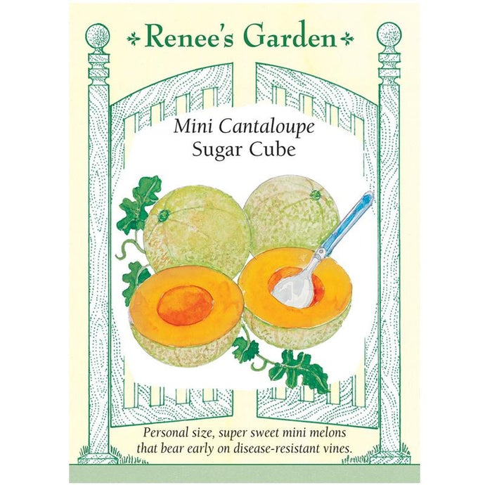 Renee's Garden Melon Canteloupe Mini Sugar Cube