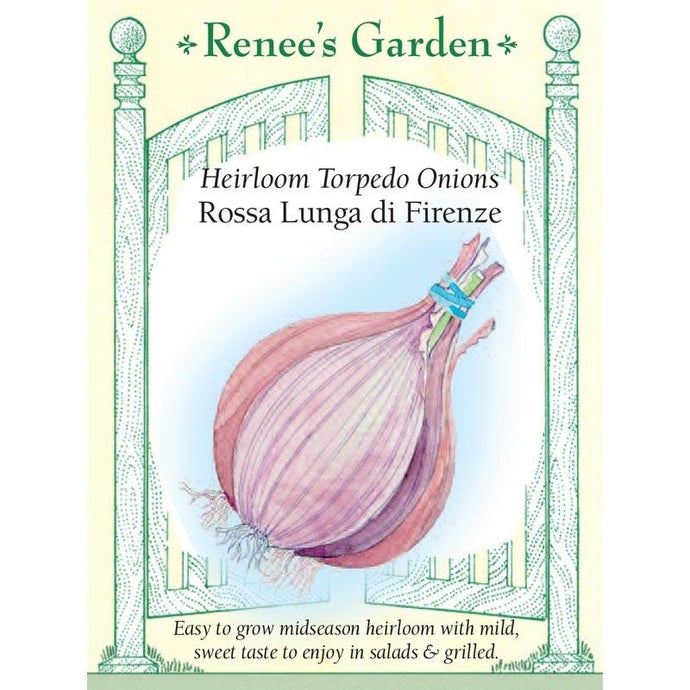 Renee's Garden Onion Rossa Lunga di Firenze (Heirloom)