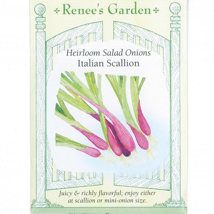 Renee's Garden Onion Scallions Italian (Heirloom)