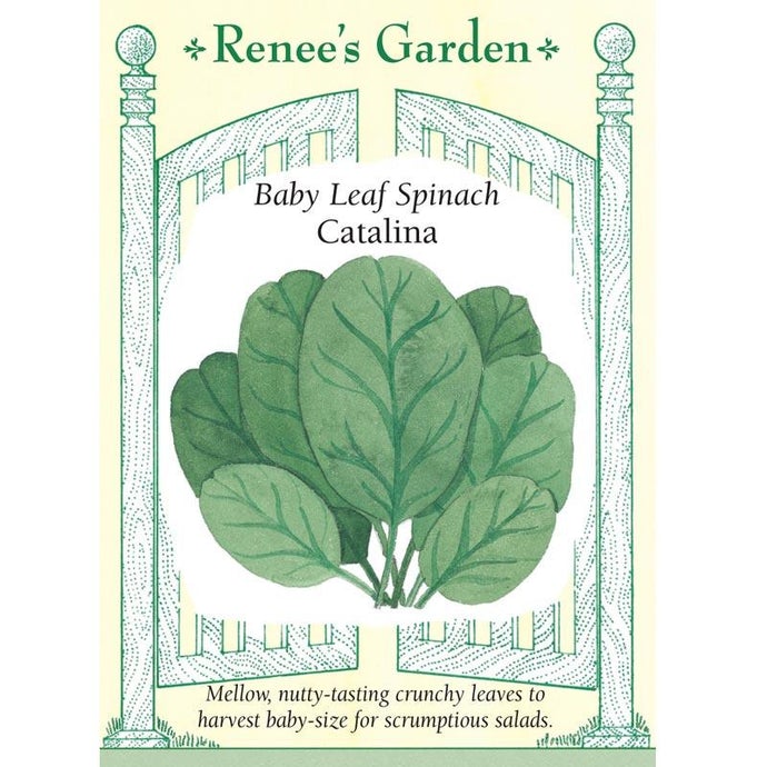 Renee's Garden Spinach Baby Leaf Catalina