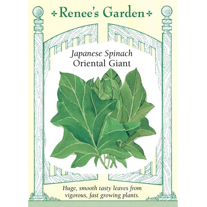 Renee's Garden Spinach Japanese Oriental Giant