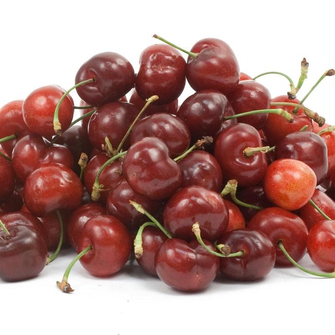 Stella Cherry Tree (Dwarf)