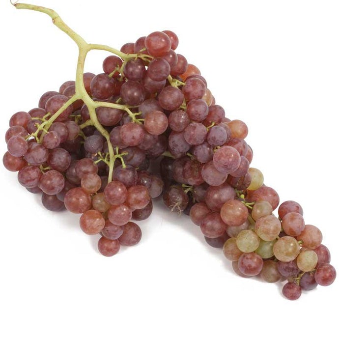 Table Grape Vine - Flame (Seedless)