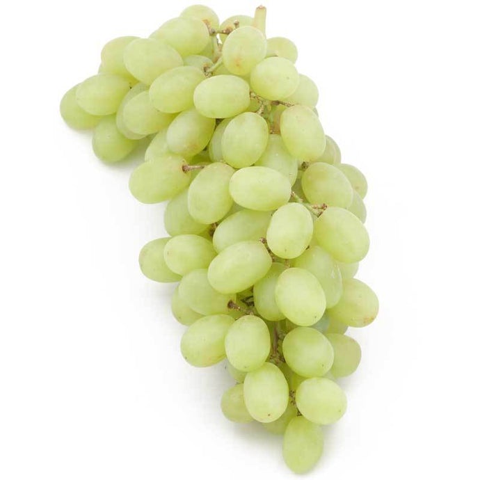 Table Grape Vine - Thompson (Seedless)