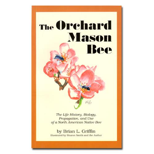 The Orchard Mason Bee