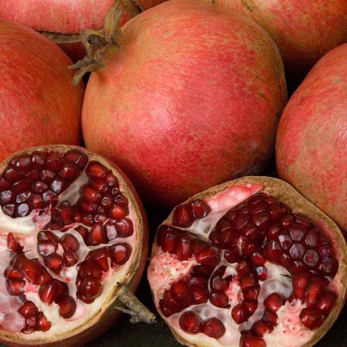 Wonderful Pomegranate Tree (Standard) (Potted)